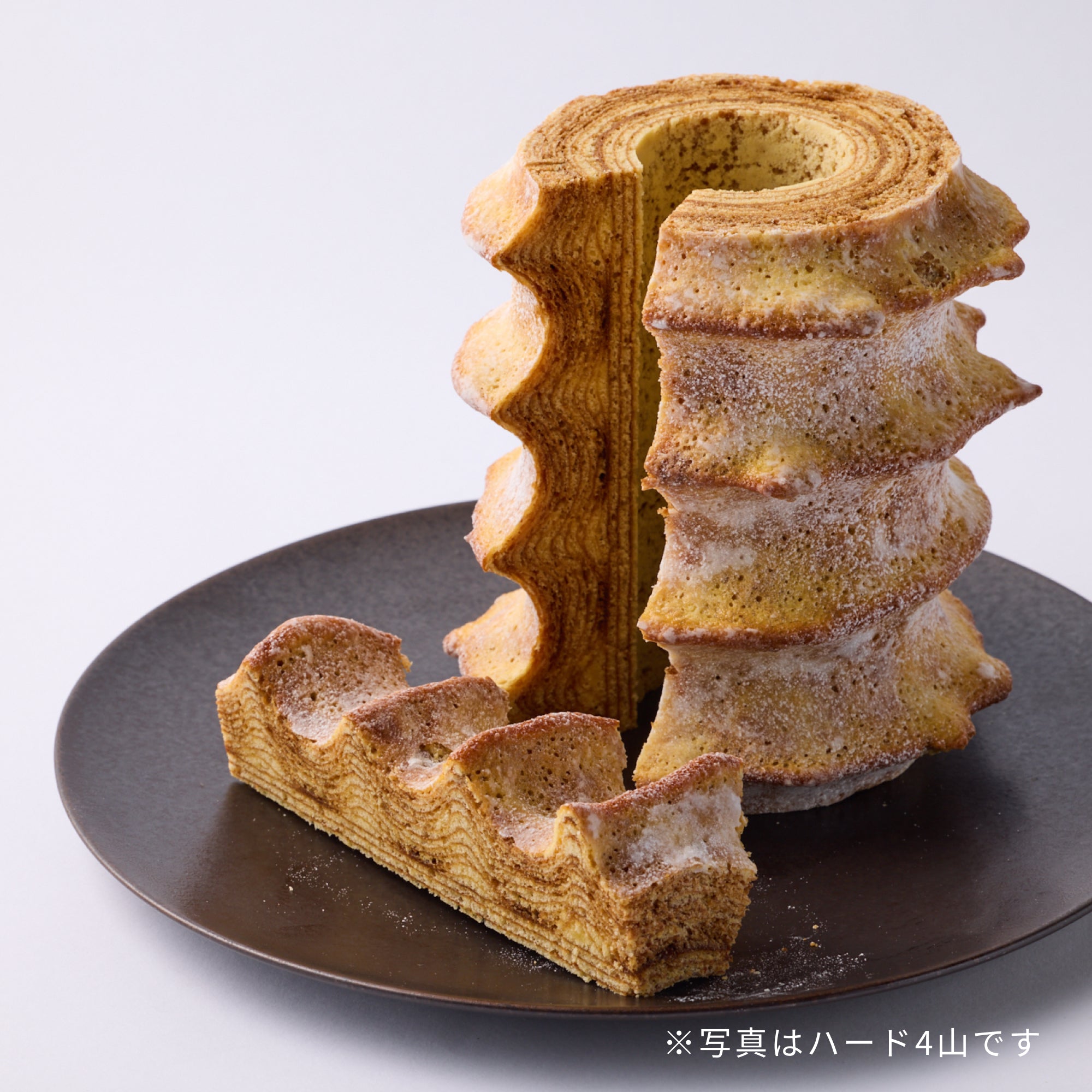 エレンバウム「時のなる木」ハード8山